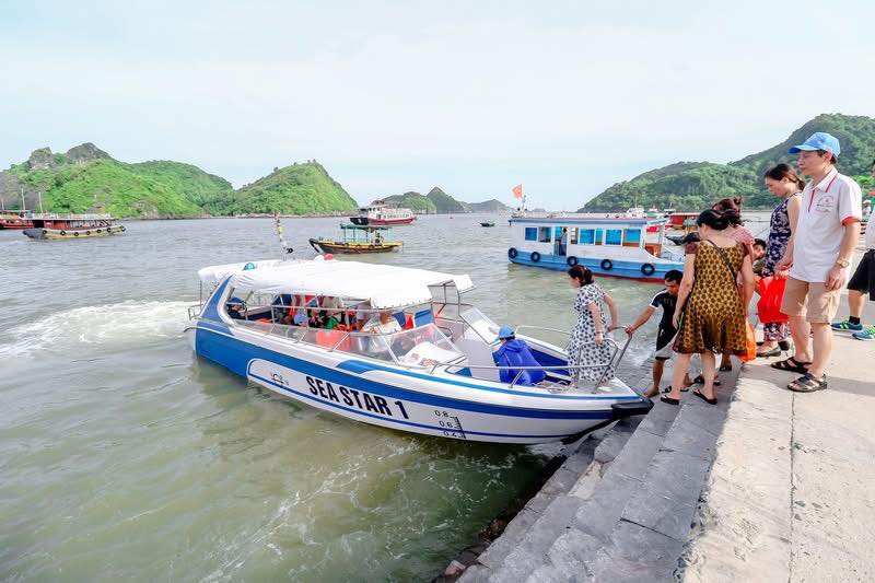 cano cao tốc đêm Cát Bà