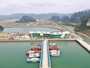 Cẩm nang ra đảo Cô Tô từ cảng Cái Rồng và Ao Tiên, Vân Đồn